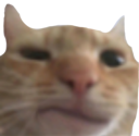 swagconfused Discord emoji