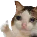 AutobotKittyThumbsUp