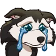 eloCry eloCry