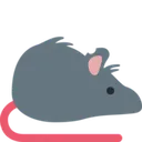 rat_right