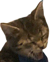 Caesar Discord emoji