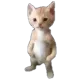 imjuststanding