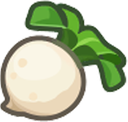 turnip Discord emoji