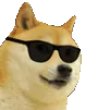 dogevibe