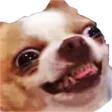 heheXD
