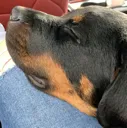 lola3