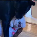 monch