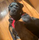 lola9