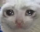 sadd