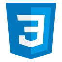 CSS