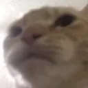 youaremeal