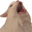 voxeScrem voxeScrem