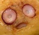 scaredtako Discord emoji