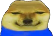 cheemstare cheemstare