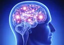 BigBrain
