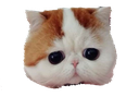 BigSad Discord emoji