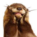 otterlyAdorable