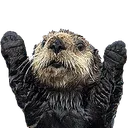 otterhype