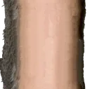 wittenforehead wittenforehead