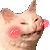 cathyperblush Discord Emoji