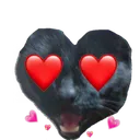 korraHearts