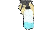 spray