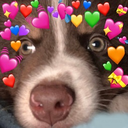DogsOfDiscord_3_ArchieWholesome Discord emoji