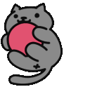 GifCatHoldBallRoll Discord emoji