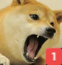 dogeping Discord Emoji