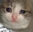 SadnessCat