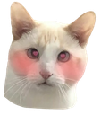ch_ganyblush Discord emoji