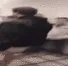 getnaenaednerd