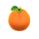 orange orange
