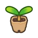 sapling sapling