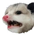otter