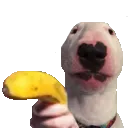 walter_banan