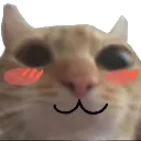 catowo