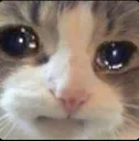 lemmecry