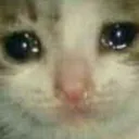 catsad