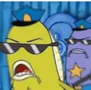 police police