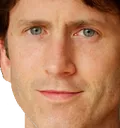 Todd