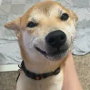TokiSmile