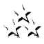 1star