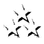 3star