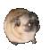 DancePug