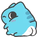 cat_stare