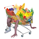 kartbox