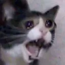 emoji_3