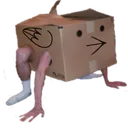 birdbox