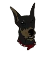 chiefdog chiefdog